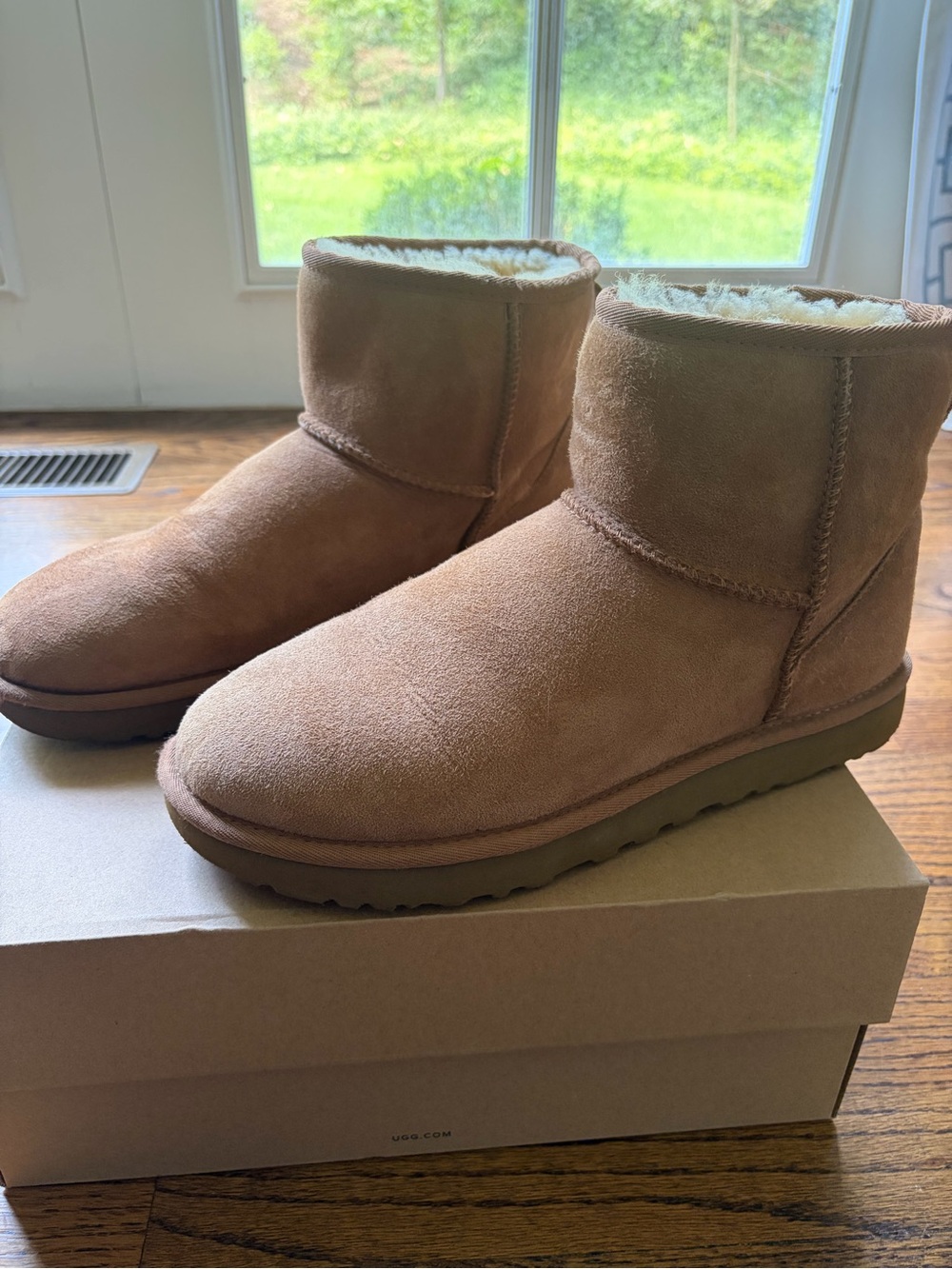 UGG Women's Short Classic Boot in Chestnut Suede